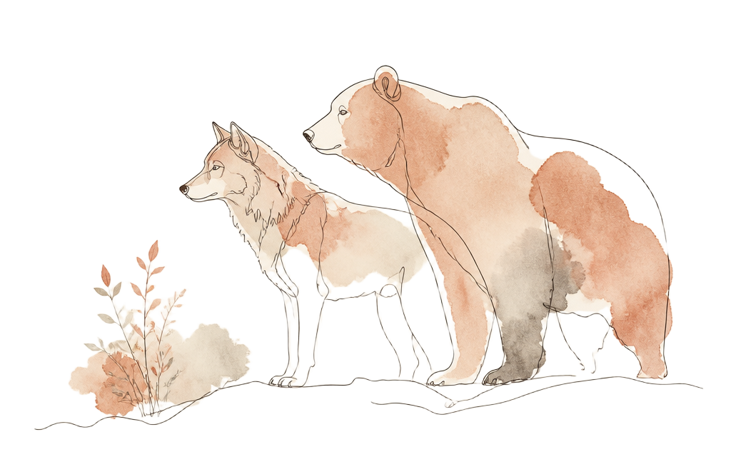 Line-art illustration of a wolf and a bear standing side by side